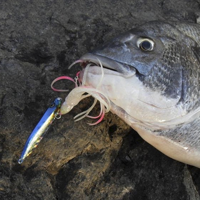 OBSESSION J25 Inchiku Squid Lu - đánh giá và giá Fishing Lure Buzzbait